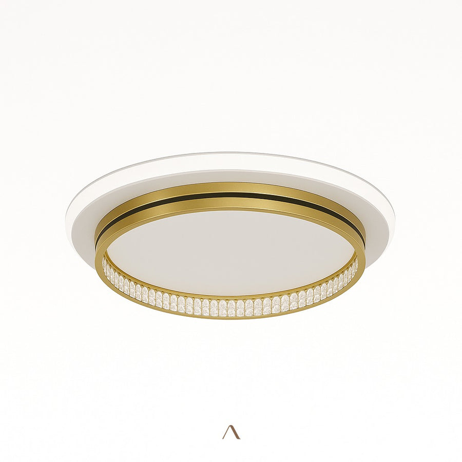 Premise Ceiling Light
