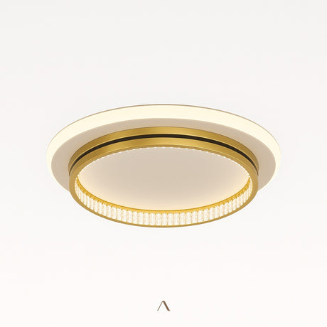 Premise Ceiling Light