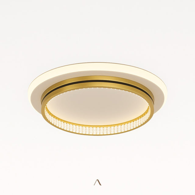Premise Ceiling Light