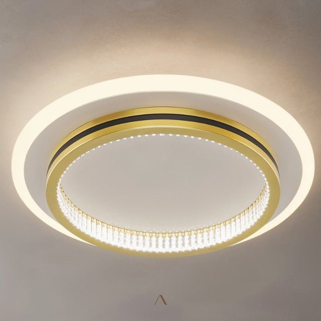 Premise Ceiling Light