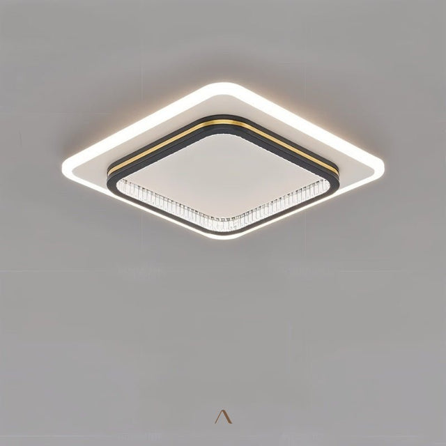 Premise Ceiling Light