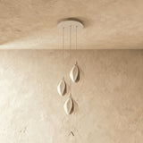 Pulmanki Chandelier