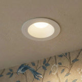 Pyrite Downlight