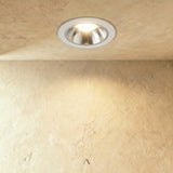 Pyrite Downlight