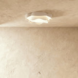 Rafter Ceiling Light