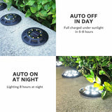 Shale In-Ground Light