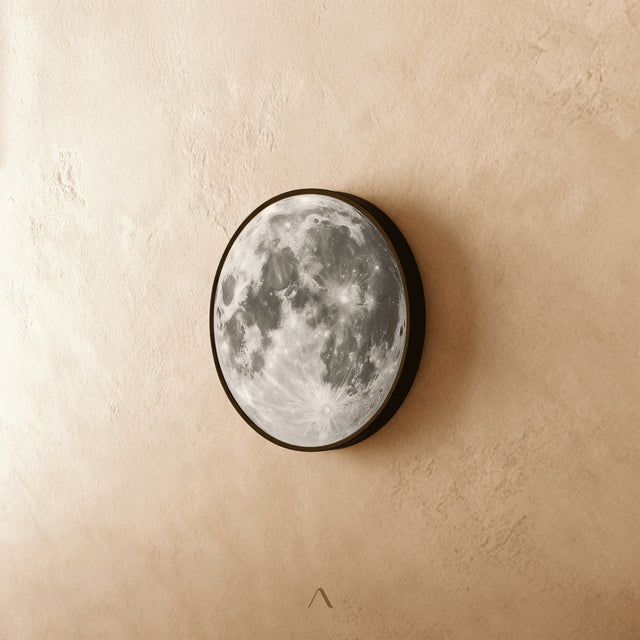 Reef Wall Lamp