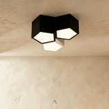 Resin Ceiling Light