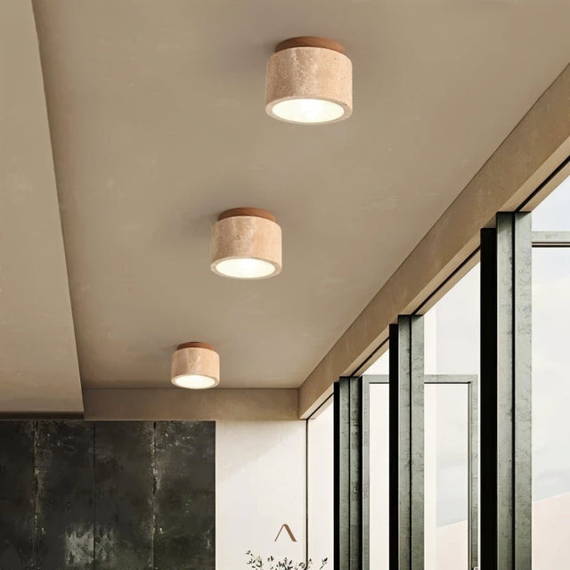 Rhone Ceiling Light