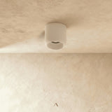 Rhyolite Downlight