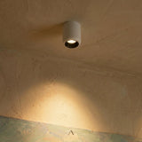 Rhyolite Downlight