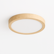 Skalbjerg Ceiling Light