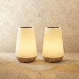 Rudder Table Lamp