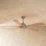 Cirrus Other