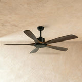 Cirrus Other