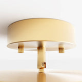 Bismuth Ceiling Light