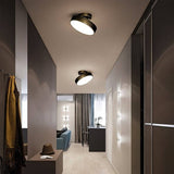 Bismuth Ceiling Light