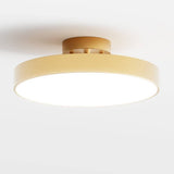 Bismuth Ceiling Light