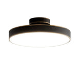 Bismuth Ceiling Light