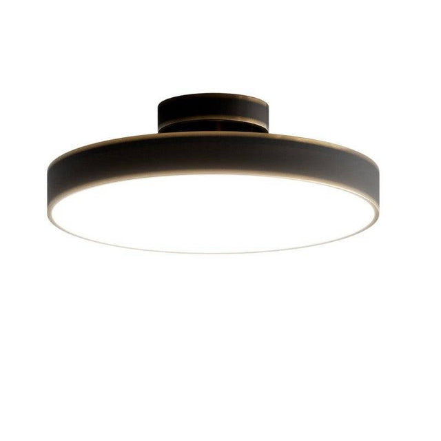 Bismuth Ceiling Light