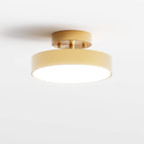Bismuth Ceiling Light