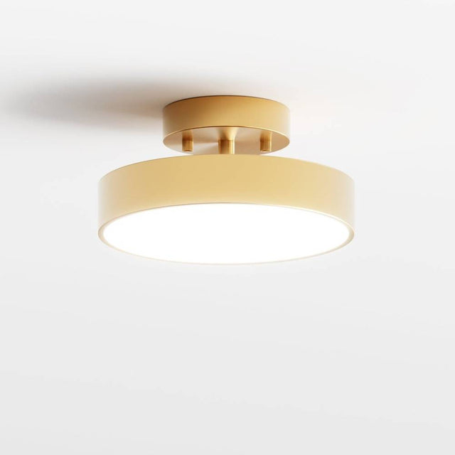 Bismuth Ceiling Light