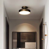 Bismuth Ceiling Light
