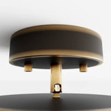 Bismuth Ceiling Light