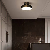 Bismuth Ceiling Light