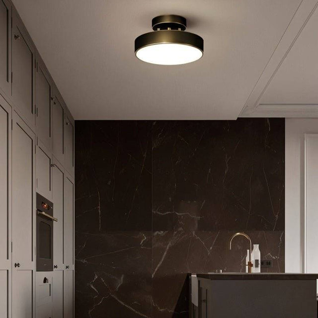 Bismuth Ceiling Light
