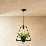 Sca Pendant Light