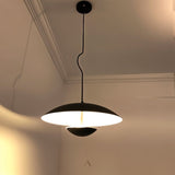 Schelde Pendant Light