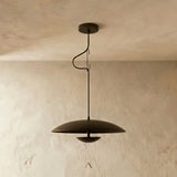 Schelde Pendant Light