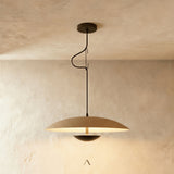 Schelde Pendant Light