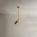Schist Ceiling Light
