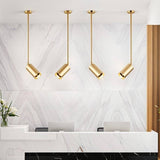 Schist Ceiling Light
