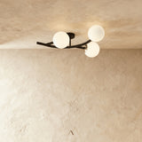 Selestat Ceiling Light