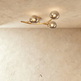 Selestat Ceiling Light