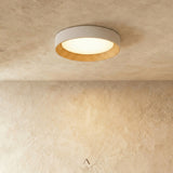 Senheim Ceiling Light