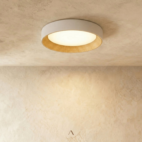 Senheim Ceiling Light