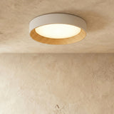 Senheim Ceiling Light