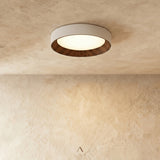 Senheim Ceiling Light
