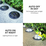 Shale In-Ground Light