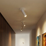 Sheathing Ceiling Light