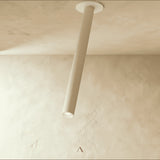Sheathing Ceiling Light