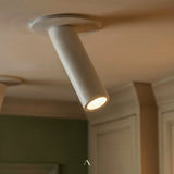 Sheathing Ceiling Light