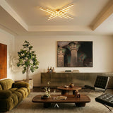 Shroud Ceiling Light