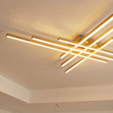 Shroud Ceiling Light
