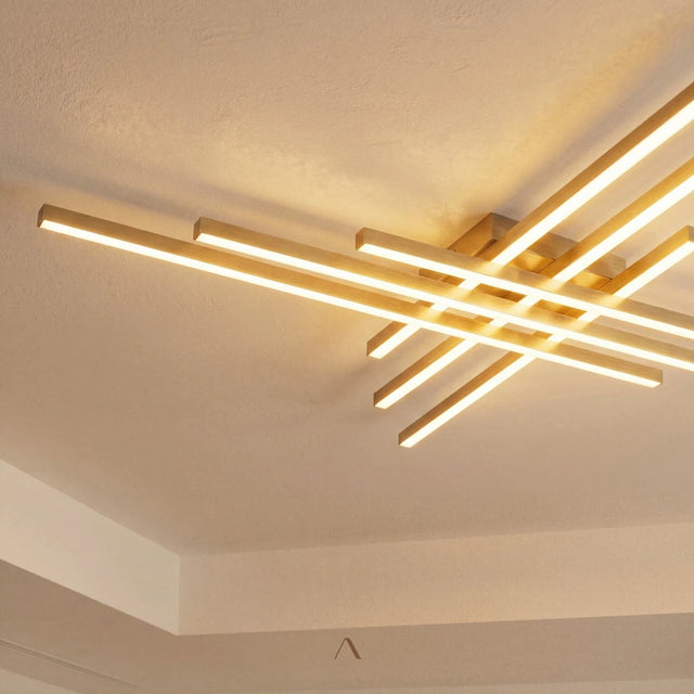 Shroud Ceiling Light