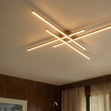 Shroud Ceiling Light